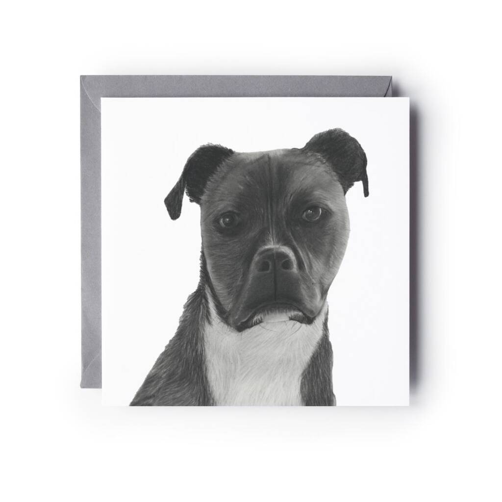Staffy Cross Dog Greeting Card, 1 of 5