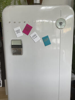 Planned Magnet, 2 of 4