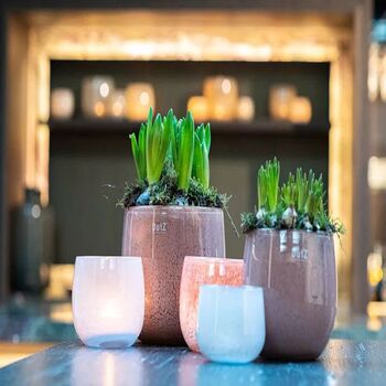 Glass Pot Beige Colour By Dut Z, 6 of 8