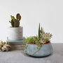 Large Ceramic Succulent Planter Pot With Drainage, thumbnail 3 of 8