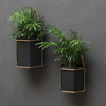 Set Of Wall Planters, 3 of 3