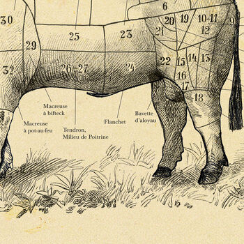 French Beef Cuts Print – Vintage Butcher Cuts Poster, 10 of 12