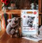 Sleepy Koala Needle Felting Craft Kit, thumbnail 1 of 4