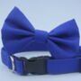 Bright Blue Dog Bow Tie, thumbnail 7 of 7