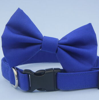 Bright Blue Dog Bow Tie, 7 of 7