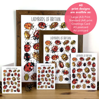 Ladybirds Of Britain Art Blank Greeting Card, 3 of 11