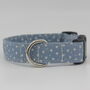 Light Blue Star Dog Collar And Lead Accessories Set, thumbnail 6 of 12