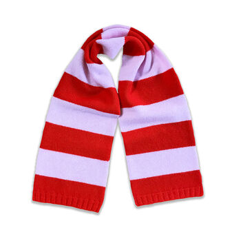 Easy Learn To Knit Stripe Scarf Knitting Kit, 3 of 5