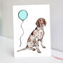 German Shorthaired Pointer Birthday Card, thumbnail 1 of 3