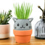 Cat Grow Kit – Grow Pal Plush With Ceramic Plant Pot, thumbnail 2 of 4