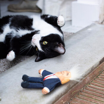 Political Cat Toy, 3 of 5
