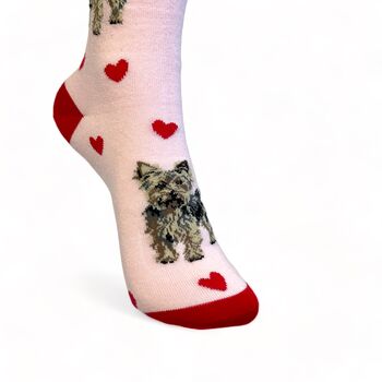 I Love Yorkies Socks Yorkshire Terrier Novelty Gift, 3 of 6