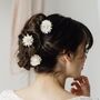 Pippa Dried Straw Flower Wedding Bridal Hair Pins, thumbnail 1 of 6