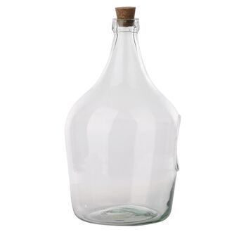 Five Litre Clear Open Terrarium Recycled Glass Planter, 5 of 5