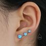 Sterling Silver Blue Opal Trio Crawler Earrings, thumbnail 5 of 9