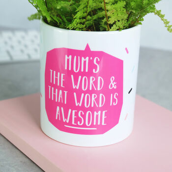 Mum's The Word Cactus Plant Pot, 3 of 5