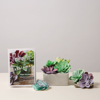 Paper Succulent Making Kit, 4 of 12