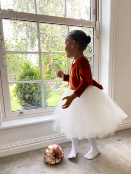 Long Sleeve Burnt Orange Velvet Christmas Party Dress, 3 of 7