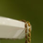 Woven Chunky Chain Necklace, thumbnail 4 of 4