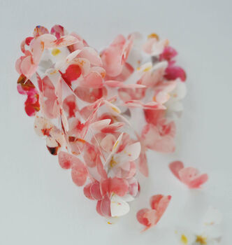 Blossom Coloured 3D Framed Butterfly Heart, 2 of 6