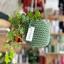 Recycled Crochet Hanging Plant Pot, thumbnail 1 of 12