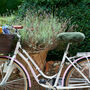 Sheepskin Bike Seat, thumbnail 4 of 9