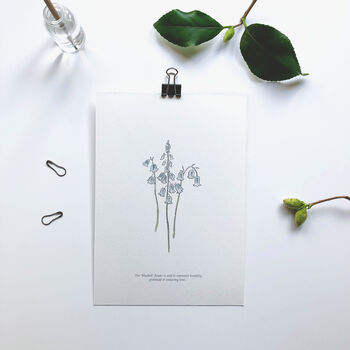 ‘Bluebell’ Spring Flower Botanical Giclée Print, 2 of 3