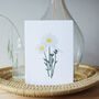 'Oxeye Daisy' Greetings Card, thumbnail 1 of 3