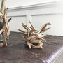 Pair Of Driftwood Votive Holders, thumbnail 1 of 4