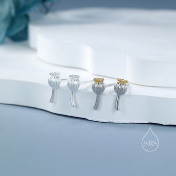 Extra Tiny Seed Pod Stud Earrings In Sterling Silver, 5 of 12