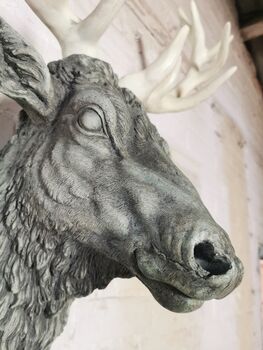 Wall Mountable Stag Head, 2 of 4