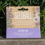 Wildflower Seeds Collection Pack Of Three, thumbnail 4 of 9