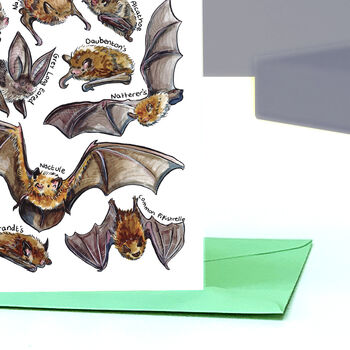 Bats Of Britain Greeting Card, 7 of 7