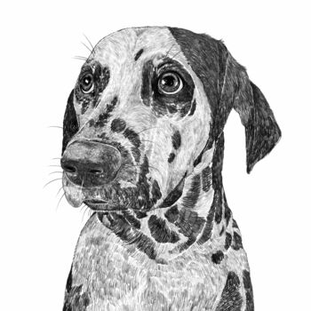 Dalmatian Dog Portrait Print, 3 of 3