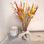 Colourful Dried Flower Arrangement With Vase Gift, thumbnail 8 of 8