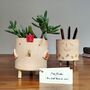 Handmade Teacher Thank You Gift Plant Pencil Pot Chicken, thumbnail 2 of 8