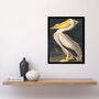 Audubon Style Pelican Bird Vintage Retro Art Print, thumbnail 2 of 3