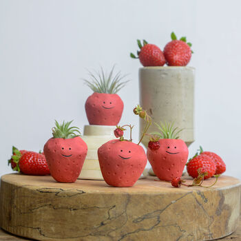 Strawberry Air Plant Holder Pot, 2 of 8