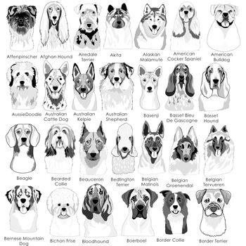 Pastel Silicone Silent Dog Name Tag Personalised, 4 of 10