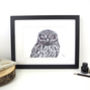 Little Owl Pen And Ink Illustration Framed Print, thumbnail 1 of 3