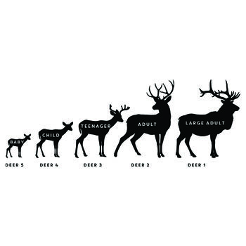 Personalised Stag Family Foil Print, 4 of 6