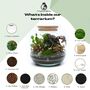 Tropical Terrarium Kit Diy | 'Leeds', thumbnail 8 of 12