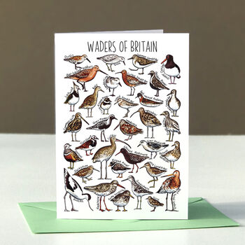 Waders Of Britain Greeting Card, 12 of 12