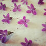 Gold Dangle Earrings With Real Pink Flowers, thumbnail 10 of 10