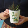 Personalised Oak Tree Flower Pot Gift, thumbnail 2 of 3