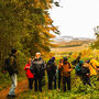 Foraging Experience Near Leeds, thumbnail 1 of 7