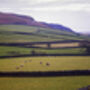 Landscape, The Lake District, Cumbria, thumbnail 2 of 10
