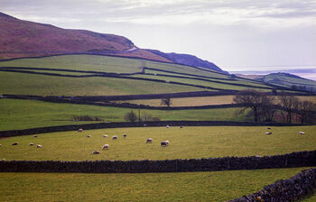 Landscape, The Lake District, Cumbria, 2 of 10