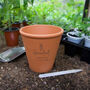 Birthday Gift Terracotta Plant Pot, thumbnail 5 of 6
