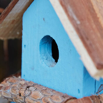 Personalised Blue Lagoon Bird House, 6 of 10